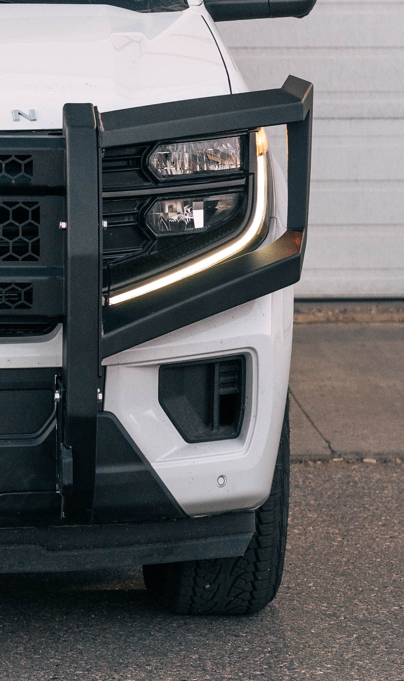 Expedition Interceptor Headlight Guards