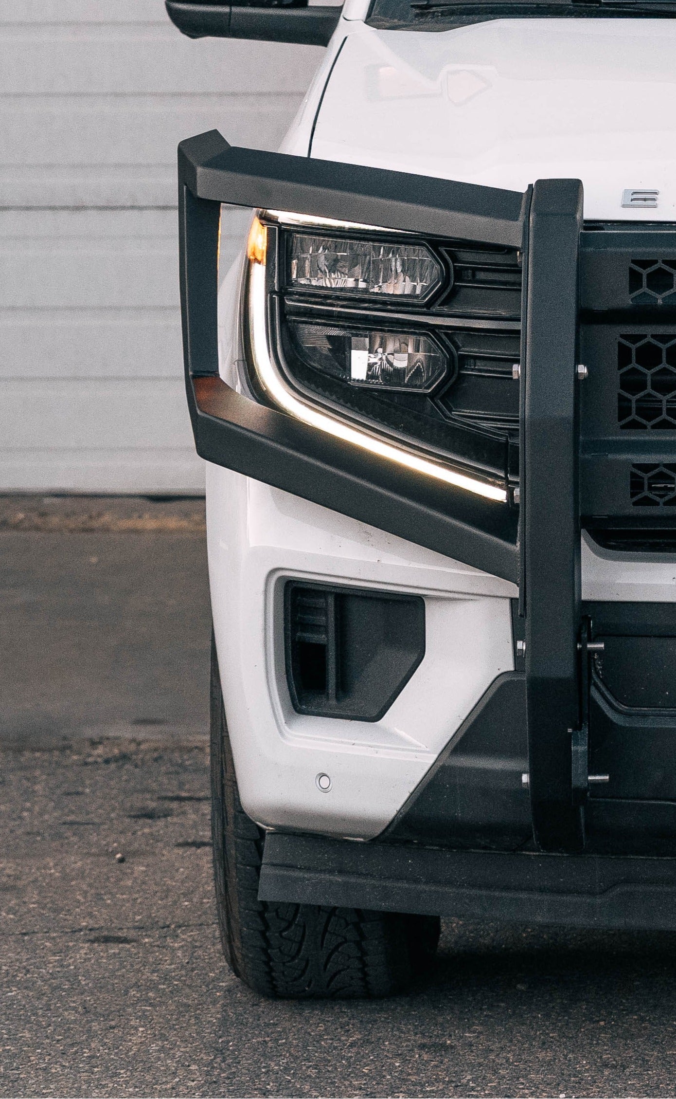 Expedition Interceptor Headlight Guards