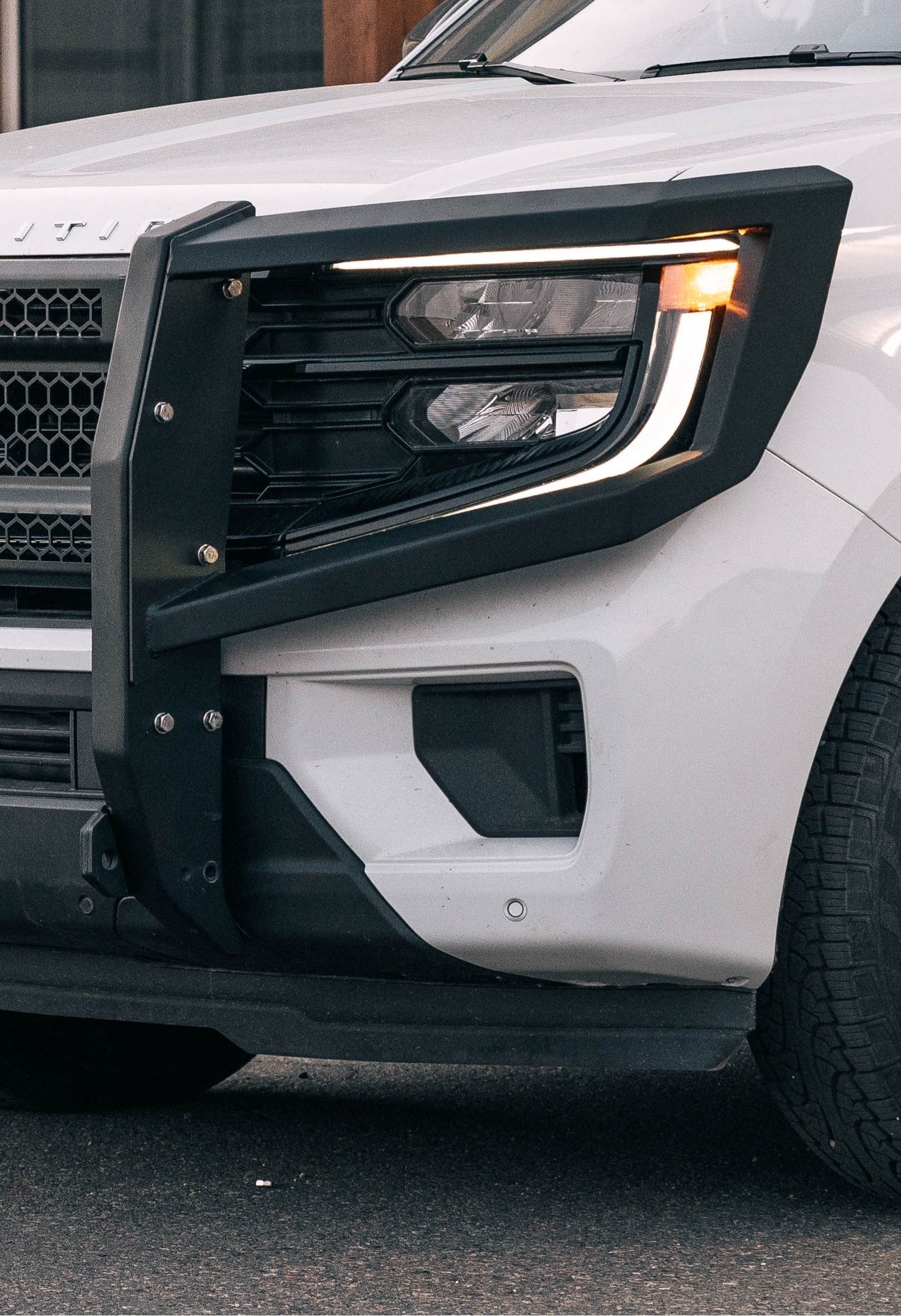 Expedition Interceptor Headlight Guards