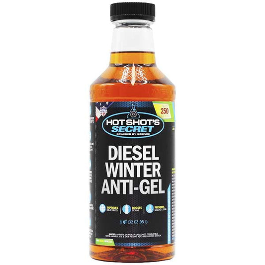 HSS DWAG 32oz Diesel Winter Anti-Gel P403332Z