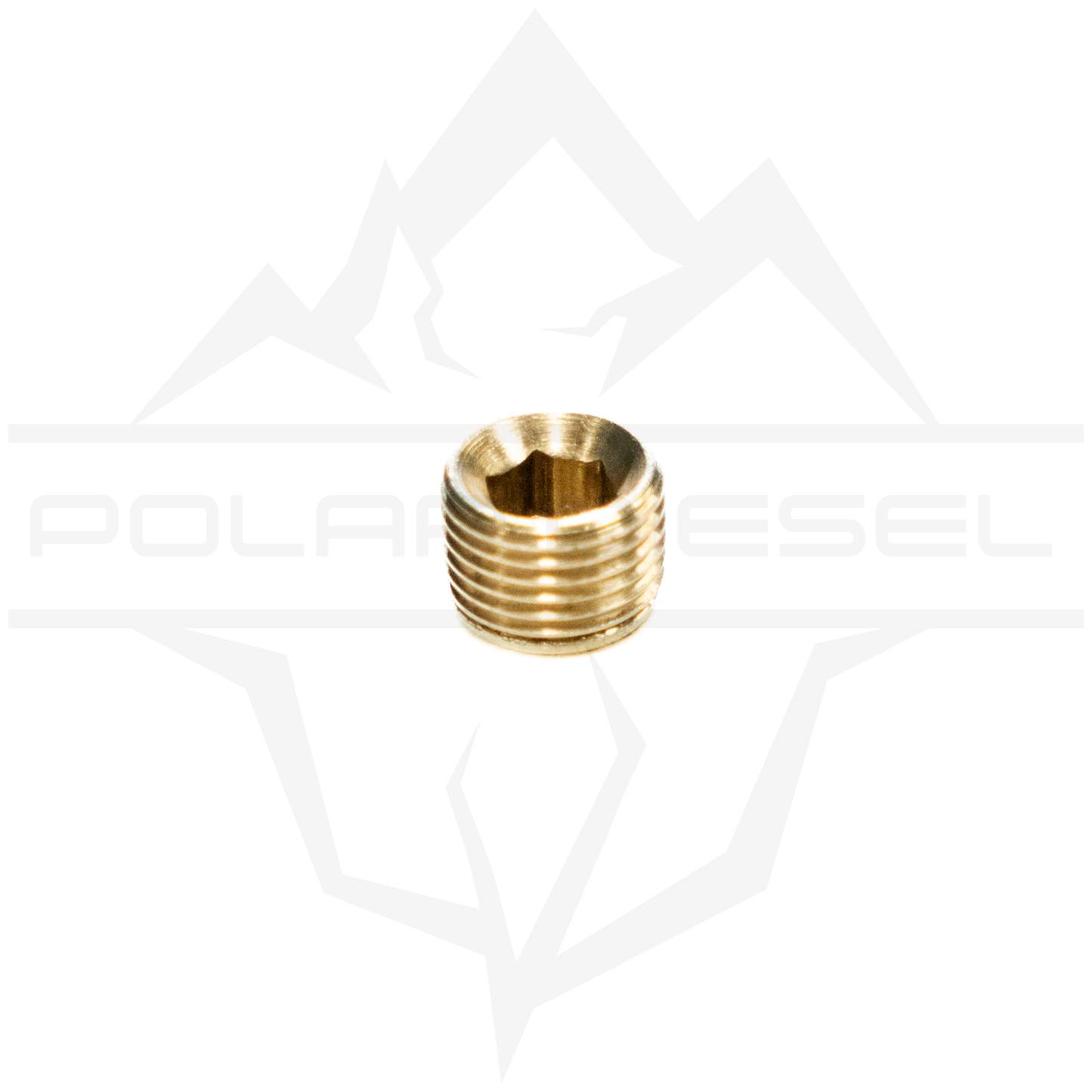 Polar Diesel 1/8th NPT Plug