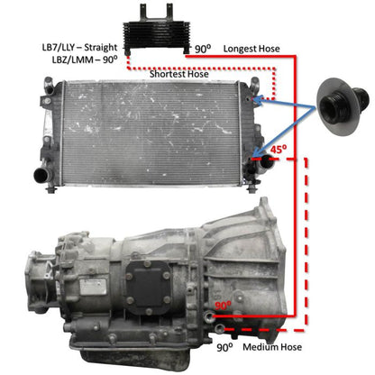 Allison Transmission Cooler Lines 2001-2005 (LB7-LLY)